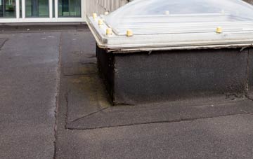 disadvantages of Dartington flat roofs