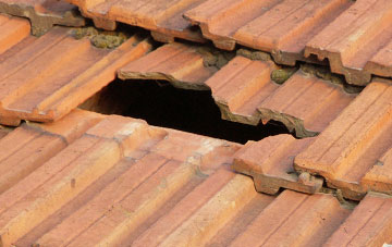 roof repair Dartington, Devon