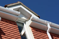 Dartington fascias