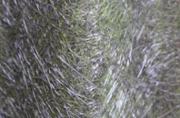 Dartington fibreglass roof work